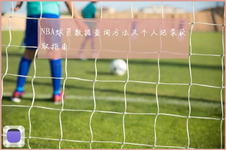 NBA球员数据查询方法及个人记录获取指南