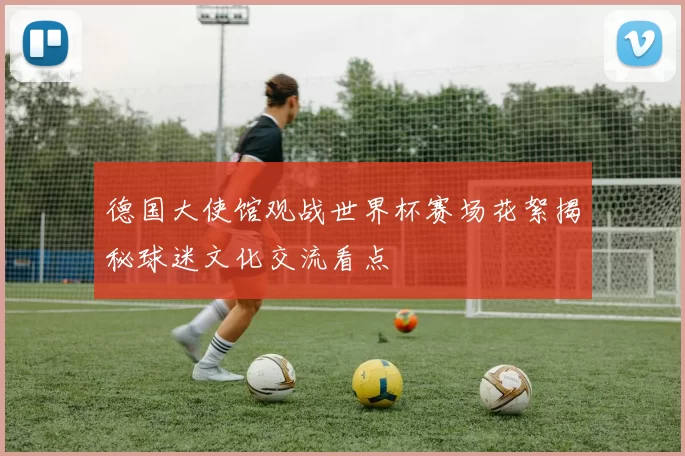 德国大使馆观战世界杯赛场花絮揭秘球迷文化交流看点