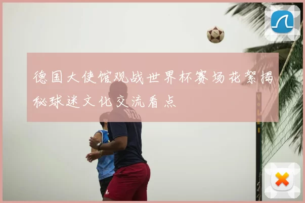 德国大使馆观战世界杯赛场花絮揭秘球迷文化交流看点