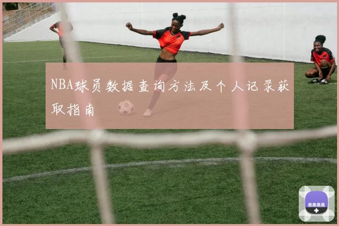 NBA球员数据查询方法及个人记录获取指南